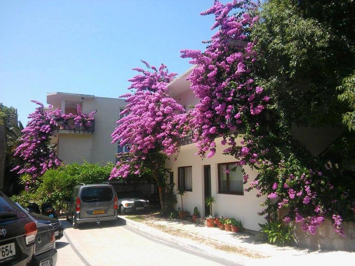 Apartments Martin Drvenik  Exterior foto